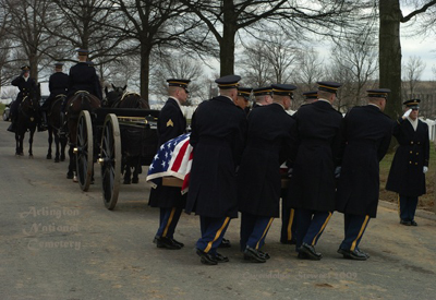 Full Military Honors at
Arlington National Cemetery Photographed by Gwendolyn Stewart, c. 2009; All Rights
Reserved