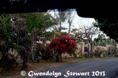 TROPICAL TRAFFIC & EN ROUTE TO NUSA DUA Photographed by Gwendolyn Stewart c.
2013; All Rights Reserved