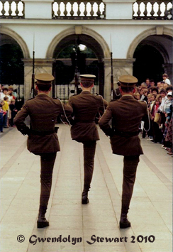 Polish
Soldiers Parading at the Tomb of the Unknown Soldier, Warsaw, Poland, Photographed by Gwendolyn
Stewart, c. 2011; All Rights Reserved